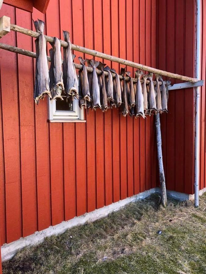 Ballstad Brygge Rorbu 外观 照片
